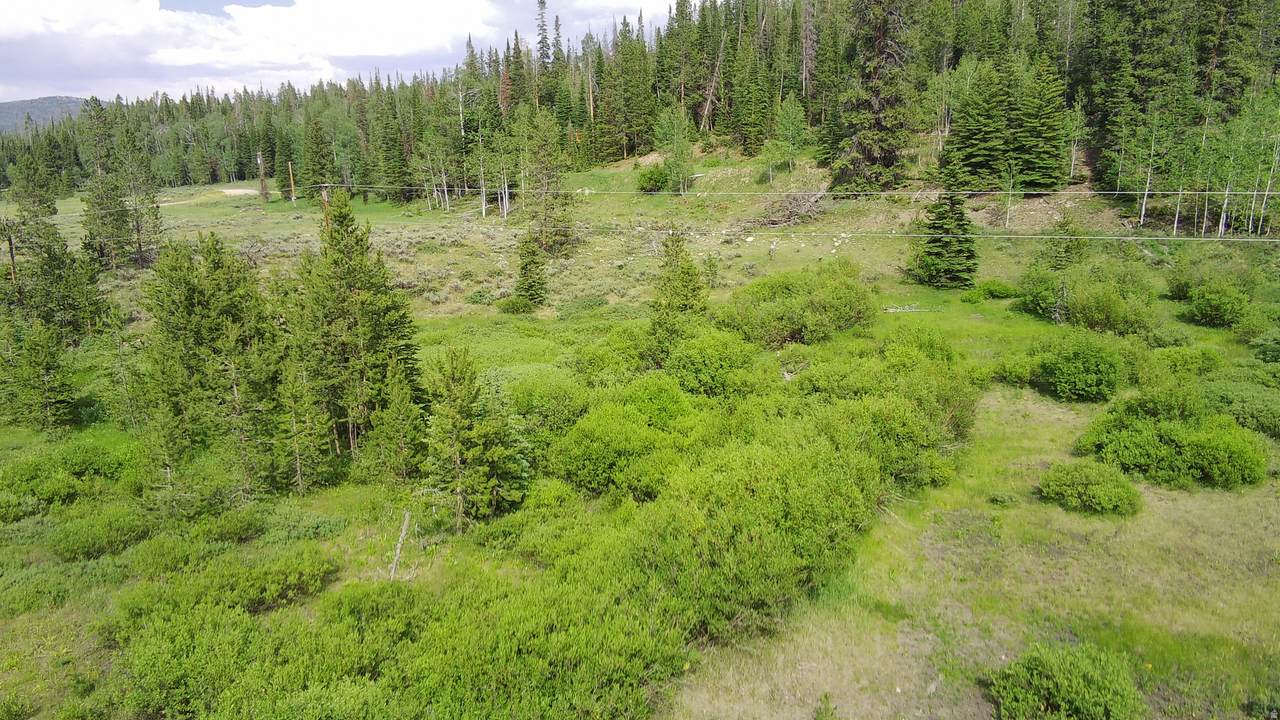 5041 Cougar Ln - Photo 1