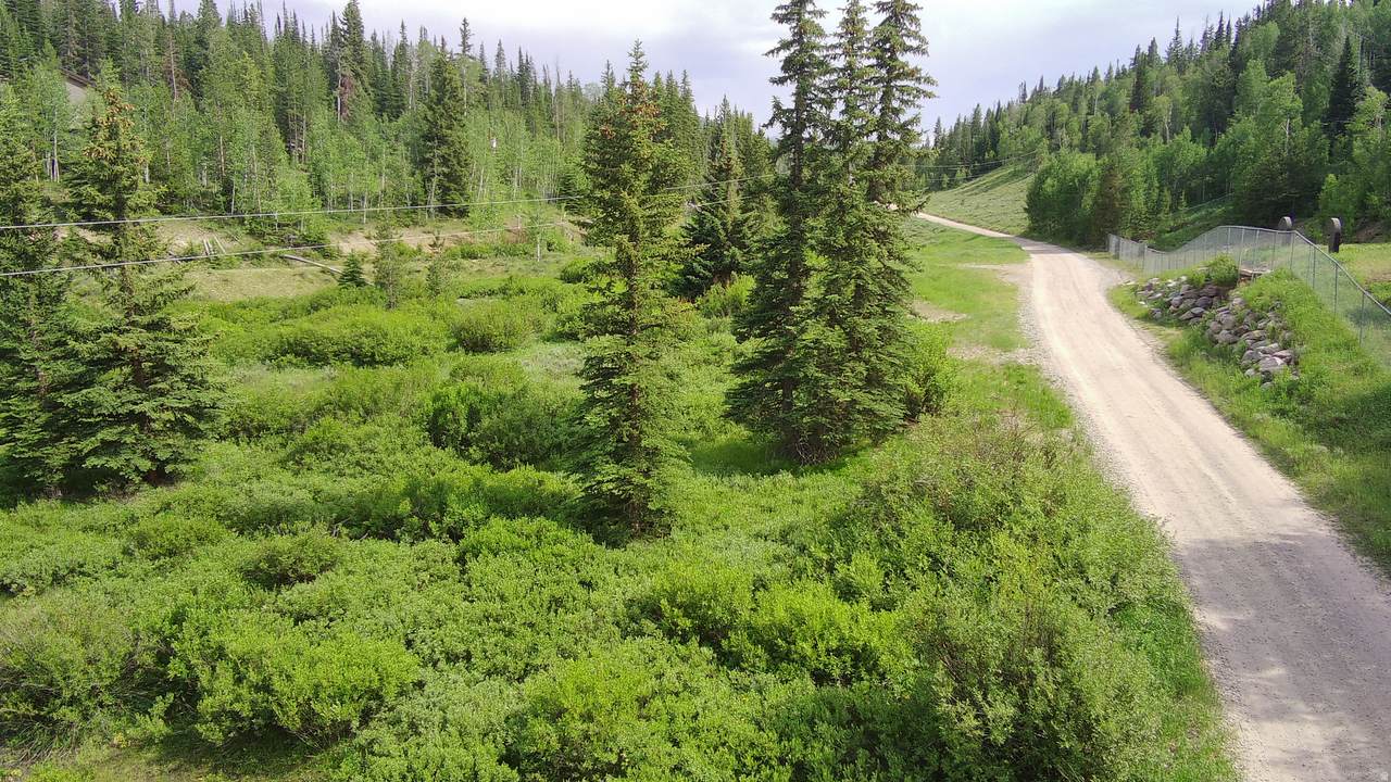 https://bt-photos.global.ssl.fastly.net/wasatch/1280_boomver_1_2149159-1.jpg