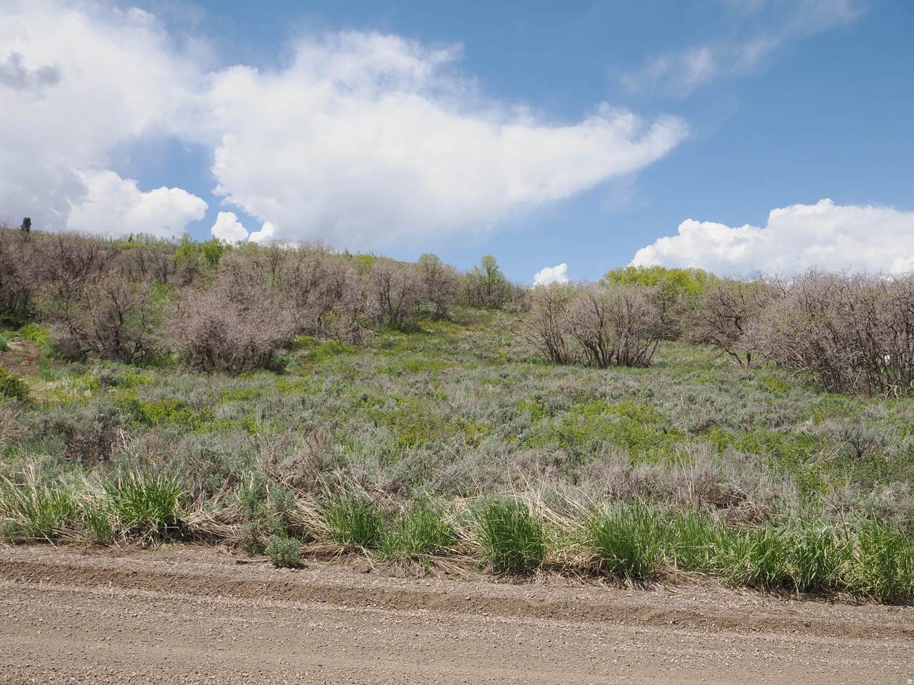 https://bt-photos.global.ssl.fastly.net/wasatch/1280_boomver_1_2149287-1.jpg
