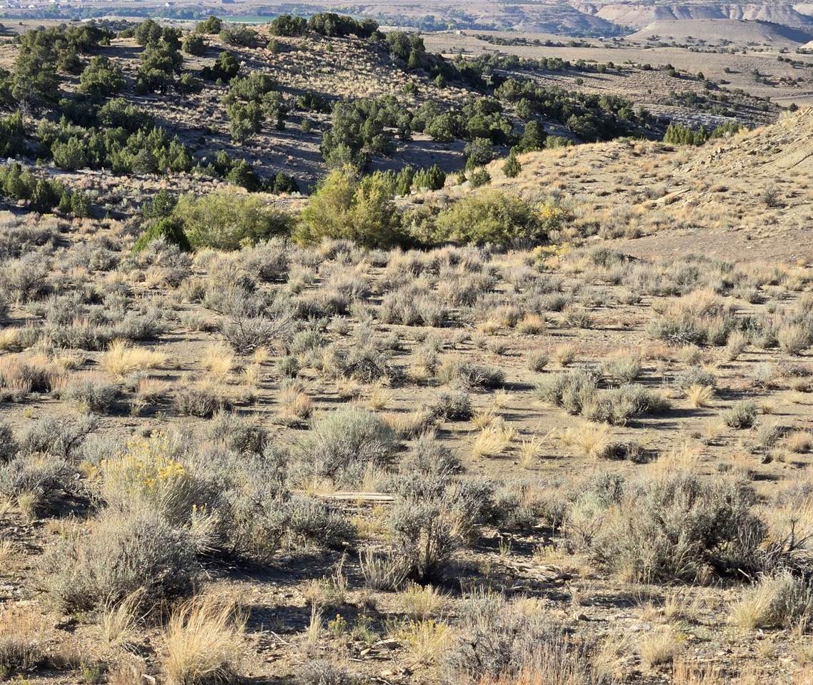 https://bt-photos.global.ssl.fastly.net/wasatch/1280_boomver_1_2149382-1.jpg