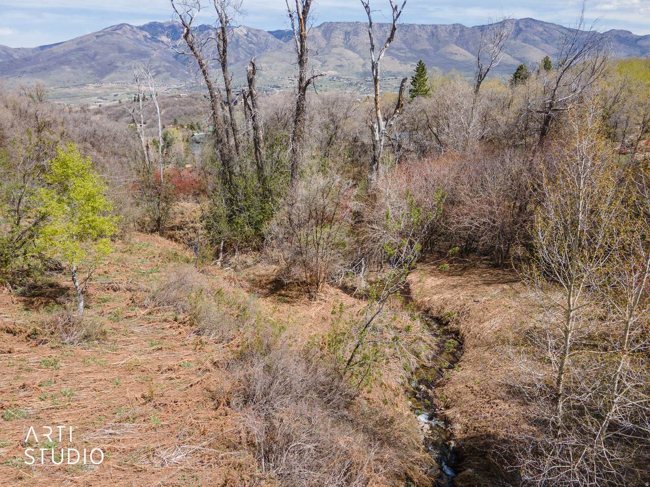 3732 1950 - Photo 1