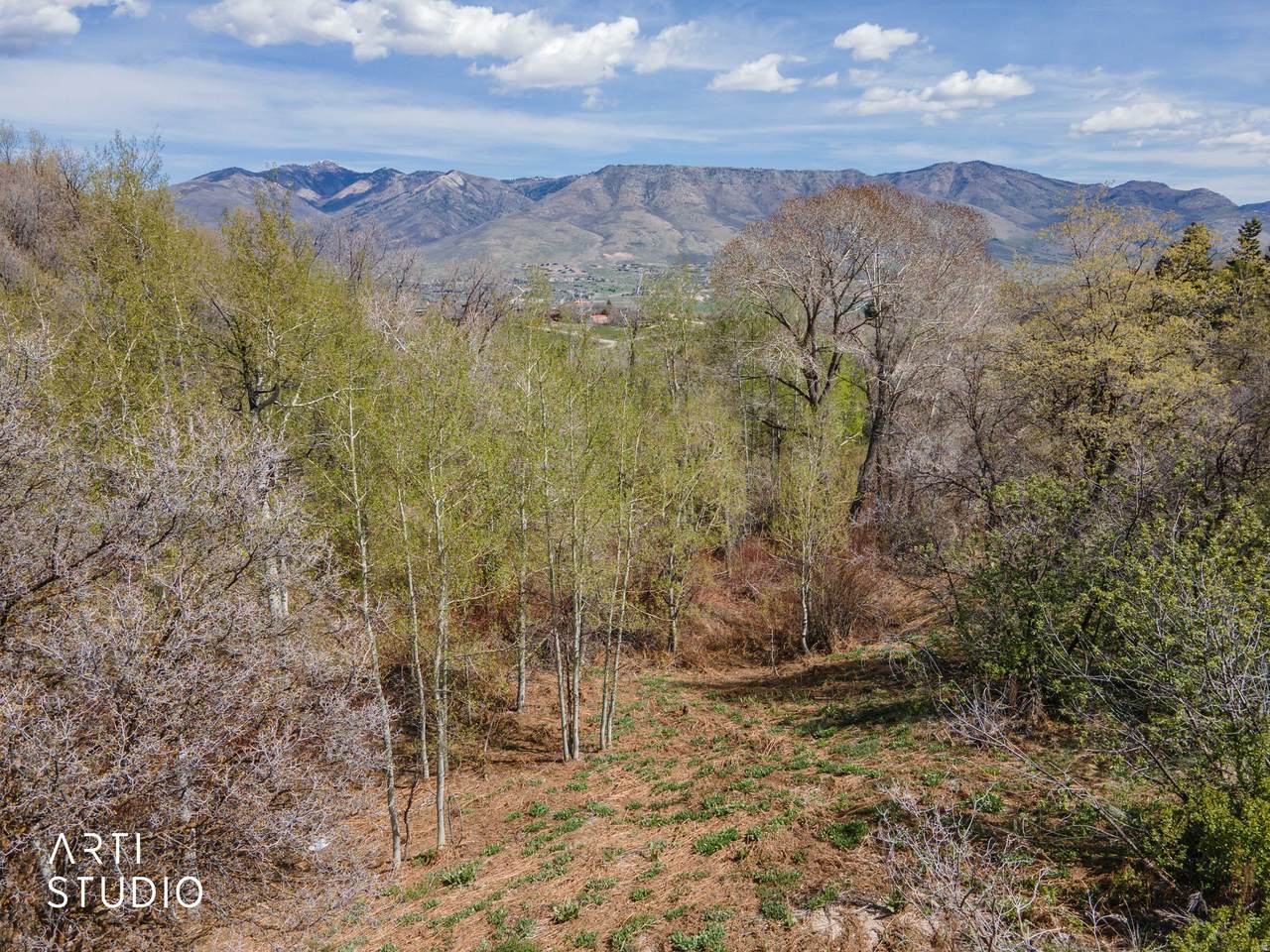 https://bt-photos.global.ssl.fastly.net/wasatch/1280_boomver_1_2149436-1.jpg