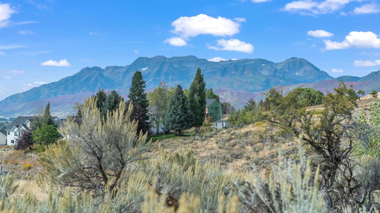https://bt-photos.global.ssl.fastly.net/wasatch/1280_boomver_1_2149781-1.jpg