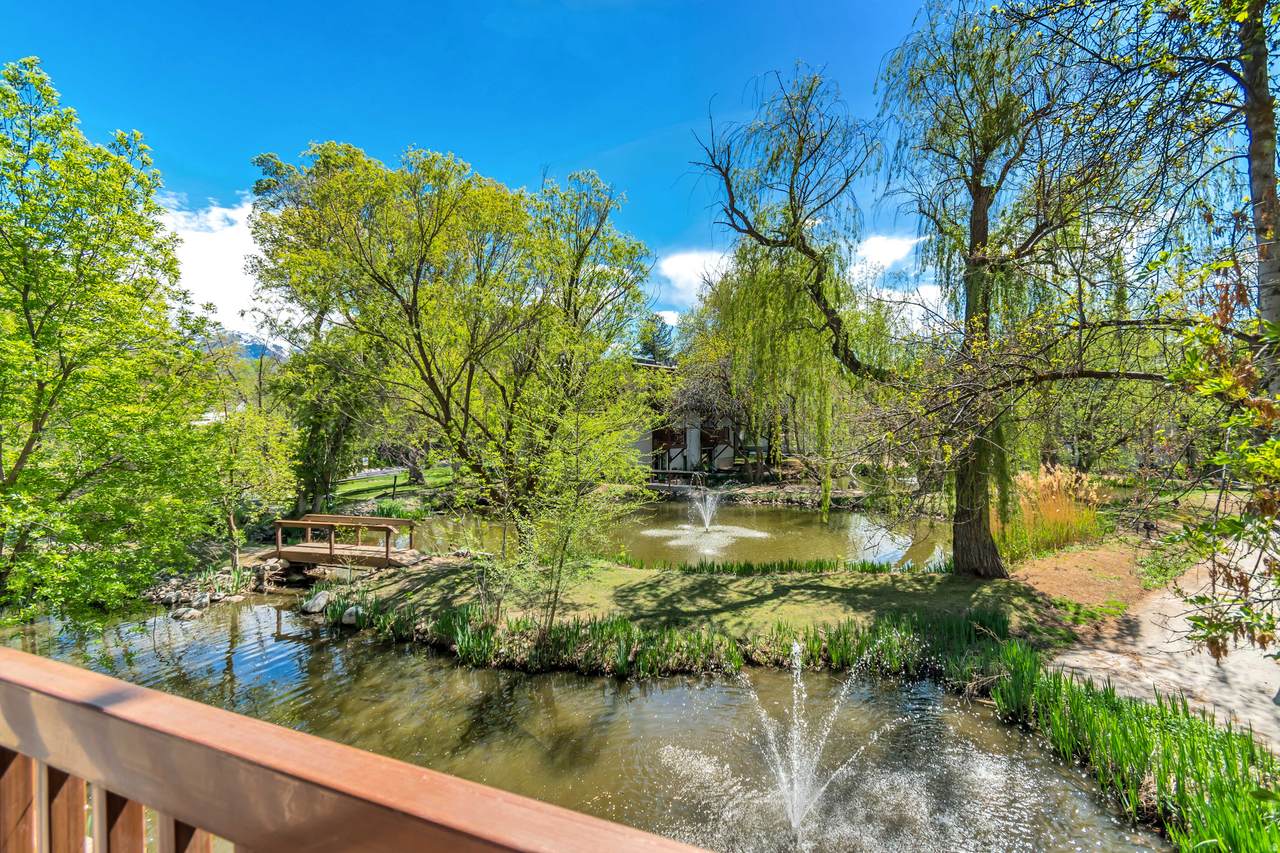 5552 Willow Ln - Photo 1