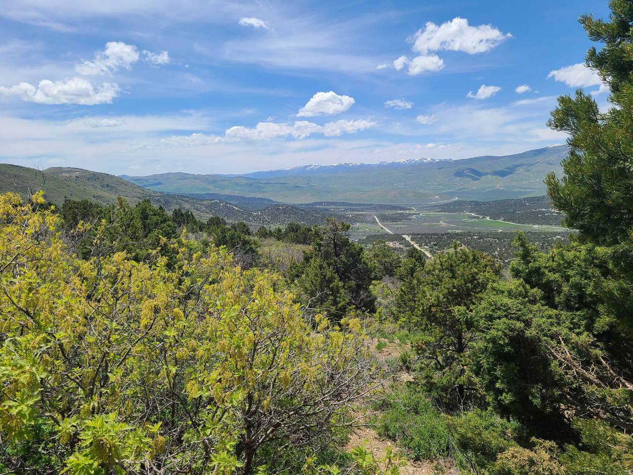 300 Sky Crest Dr - Photo 1
