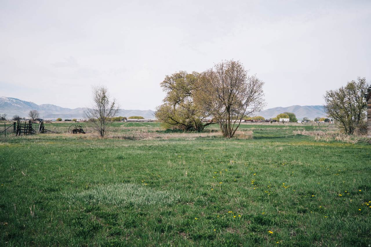 https://bt-photos.global.ssl.fastly.net/wasatch/1280_boomver_1_2149874-1.jpg