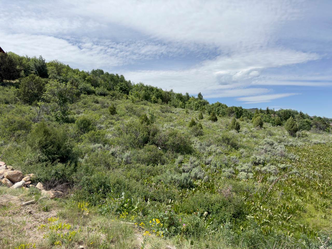 https://bt-photos.global.ssl.fastly.net/wasatch/1280_boomver_1_2149970-1.jpg