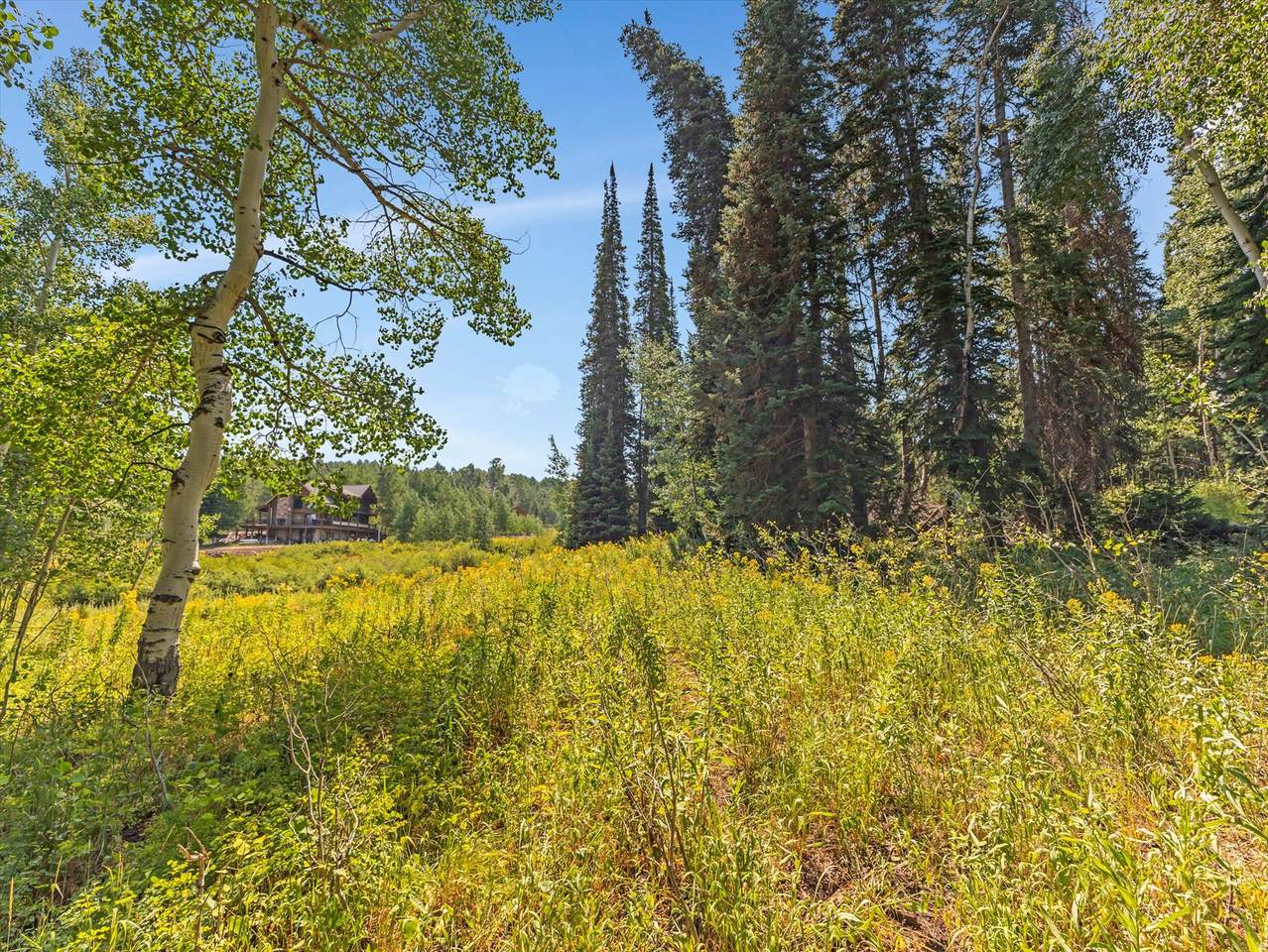 https://bt-photos.global.ssl.fastly.net/wasatch/1280_boomver_1_2150258-1.jpg