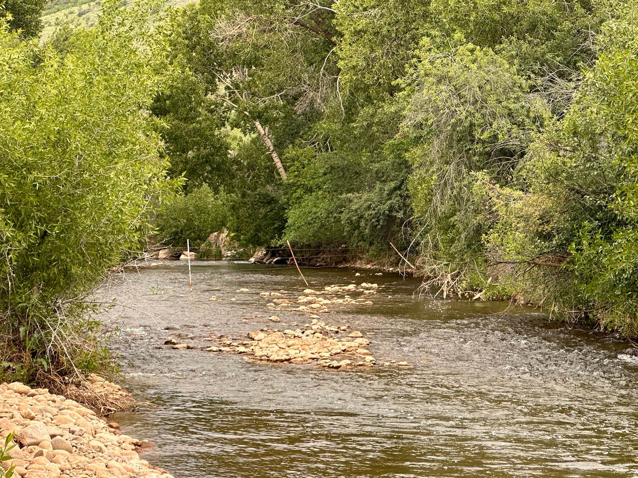 https://bt-photos.global.ssl.fastly.net/wasatch/1280_boomver_1_2150363-1.jpg