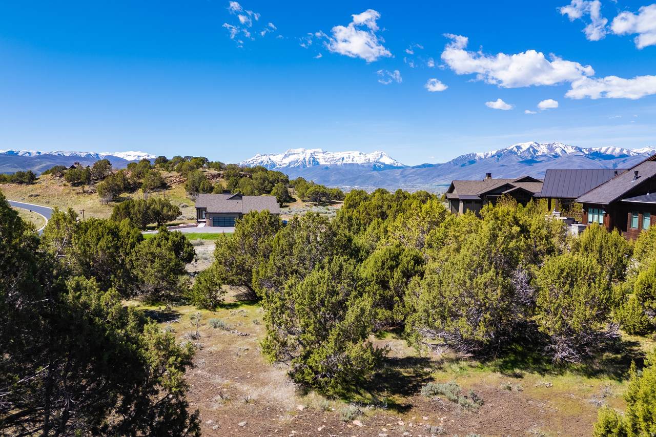 3120 Horse Mountain Cir - Photo 1
