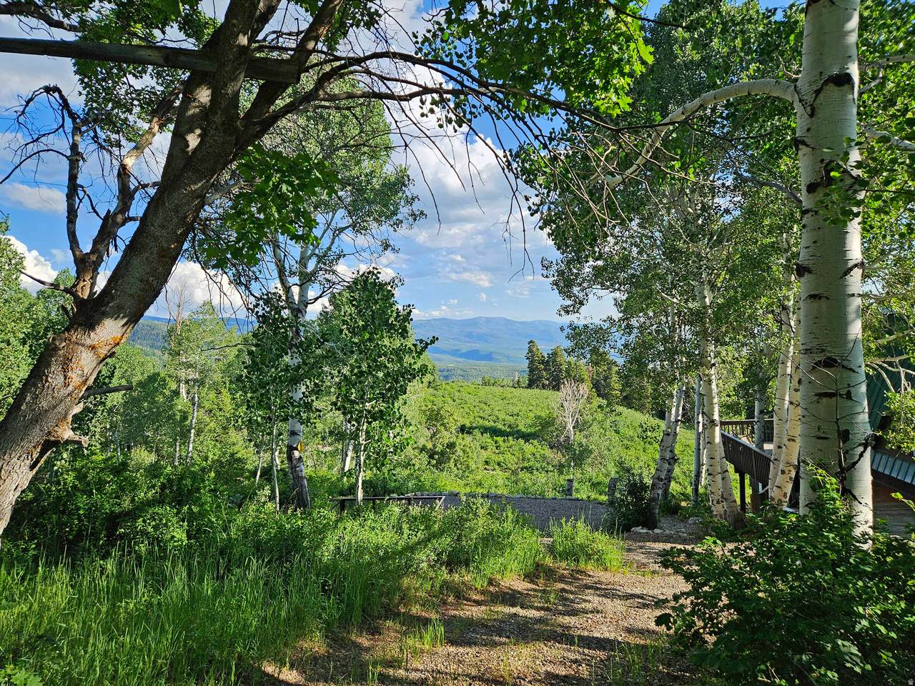 https://bt-photos.global.ssl.fastly.net/wasatch/orig_boomver_1_2150839-1.jpg