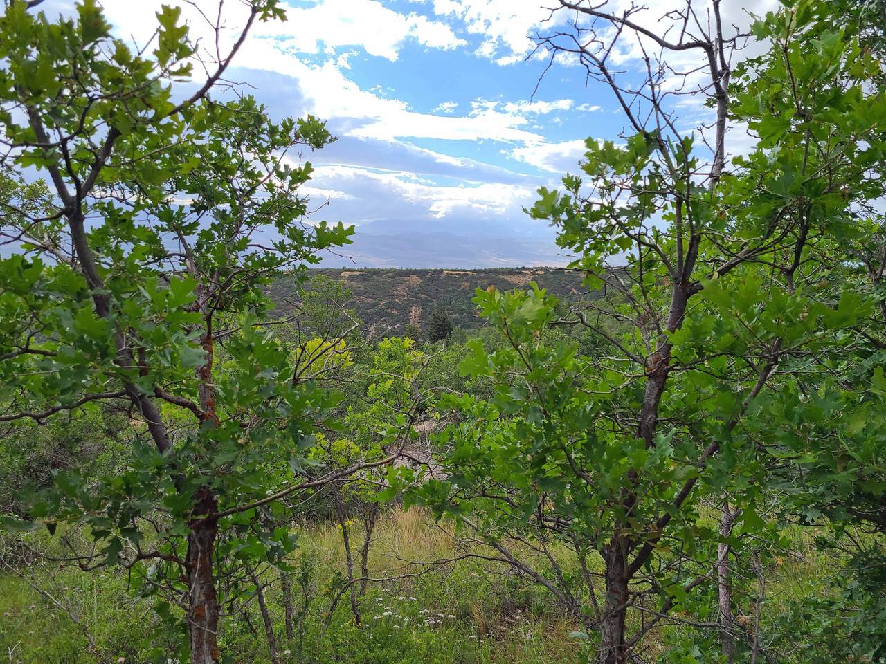 1132 Shadow Way - Photo 1