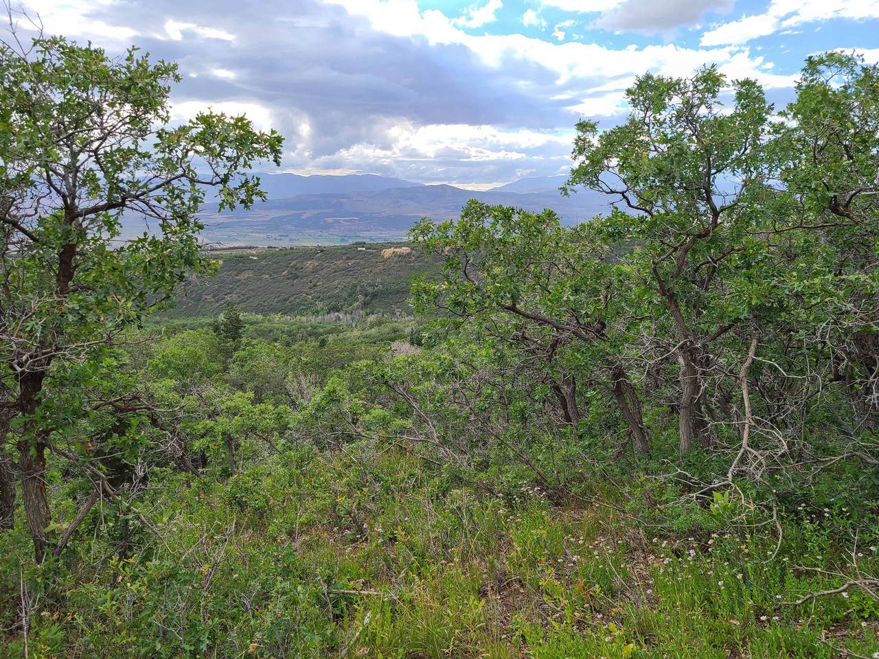 https://bt-photos.global.ssl.fastly.net/wasatch/1280_boomver_1_2150860-1.jpg