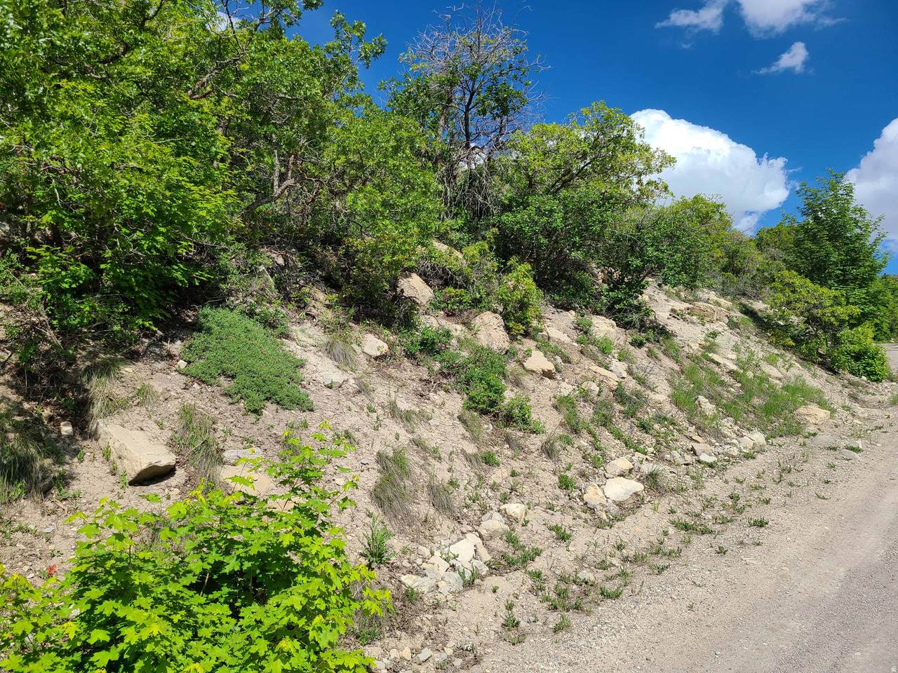 https://bt-photos.global.ssl.fastly.net/wasatch/1280_boomver_1_2150861-1.jpg