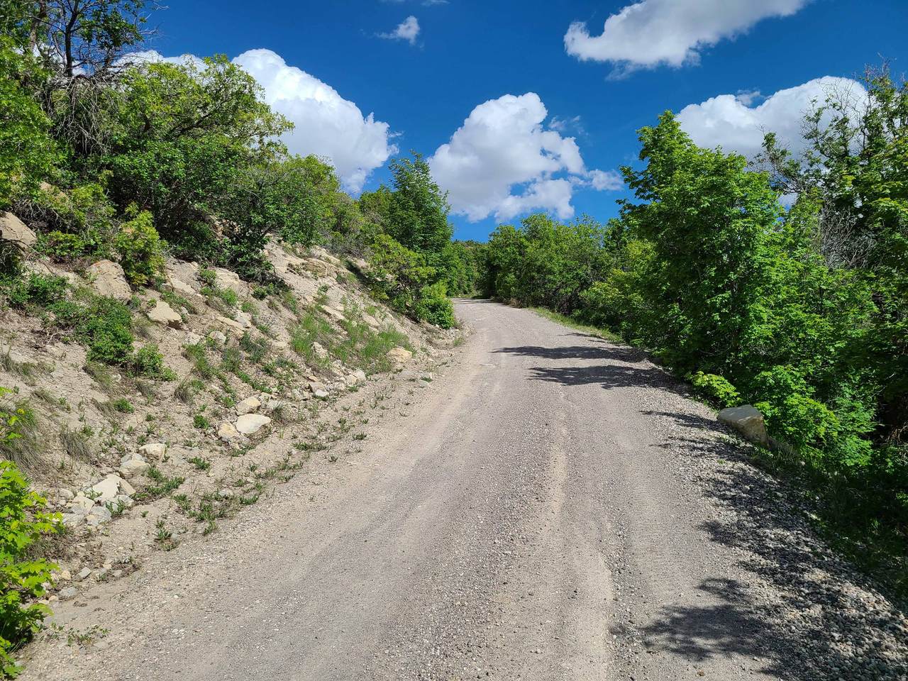 https://bt-photos.global.ssl.fastly.net/wasatch/1280_boomver_1_2150861-1.jpg