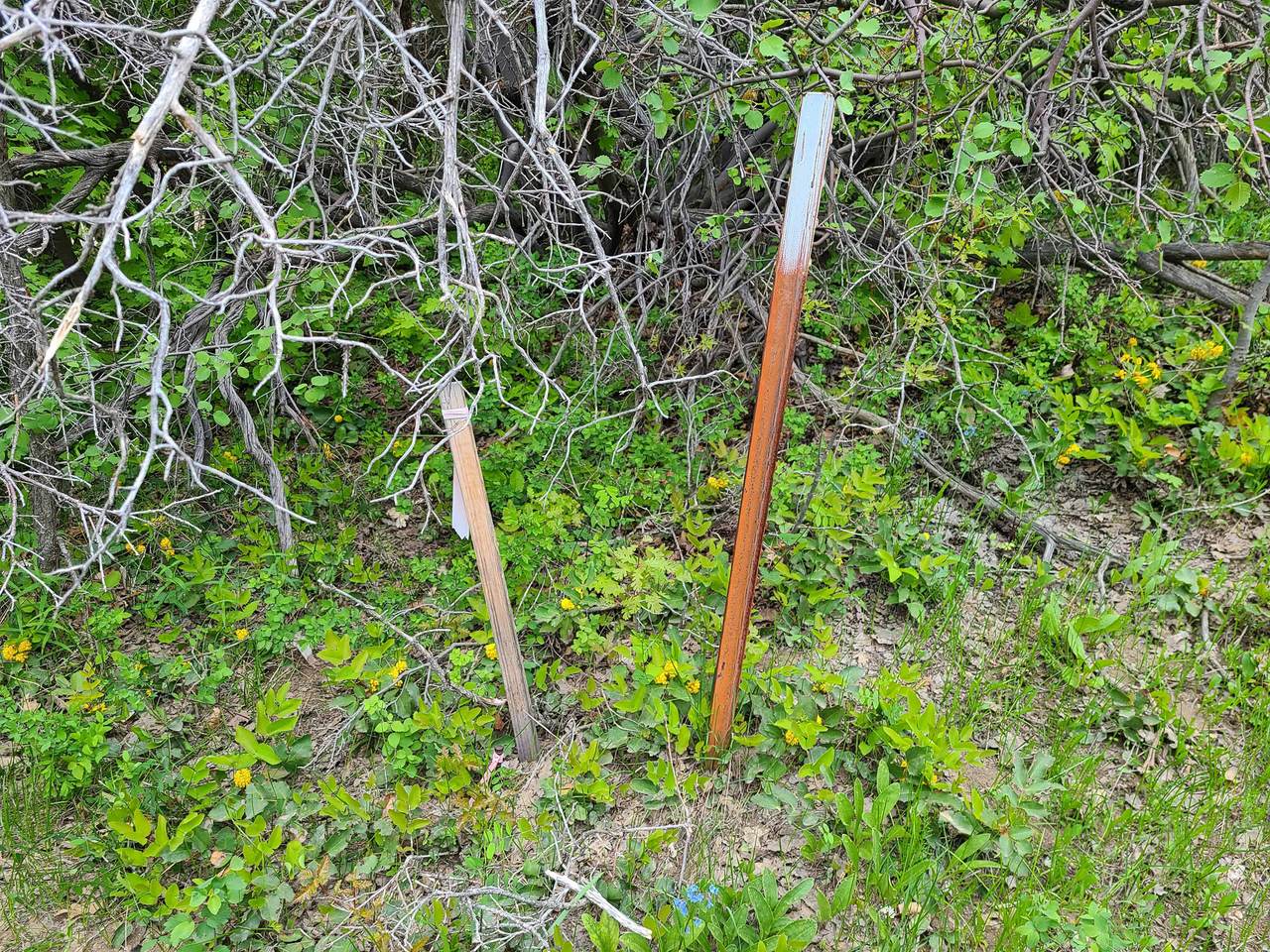 https://bt-photos.global.ssl.fastly.net/wasatch/1280_boomver_1_2150861-1.jpg