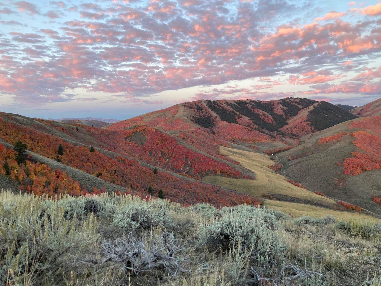 https://bt-photos.global.ssl.fastly.net/wasatch/1280_boomver_1_2151218-1.jpg