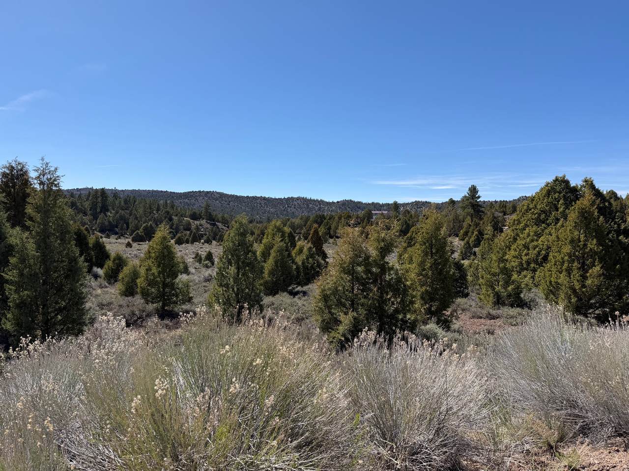 4129 Uintah Dr - Photo 1