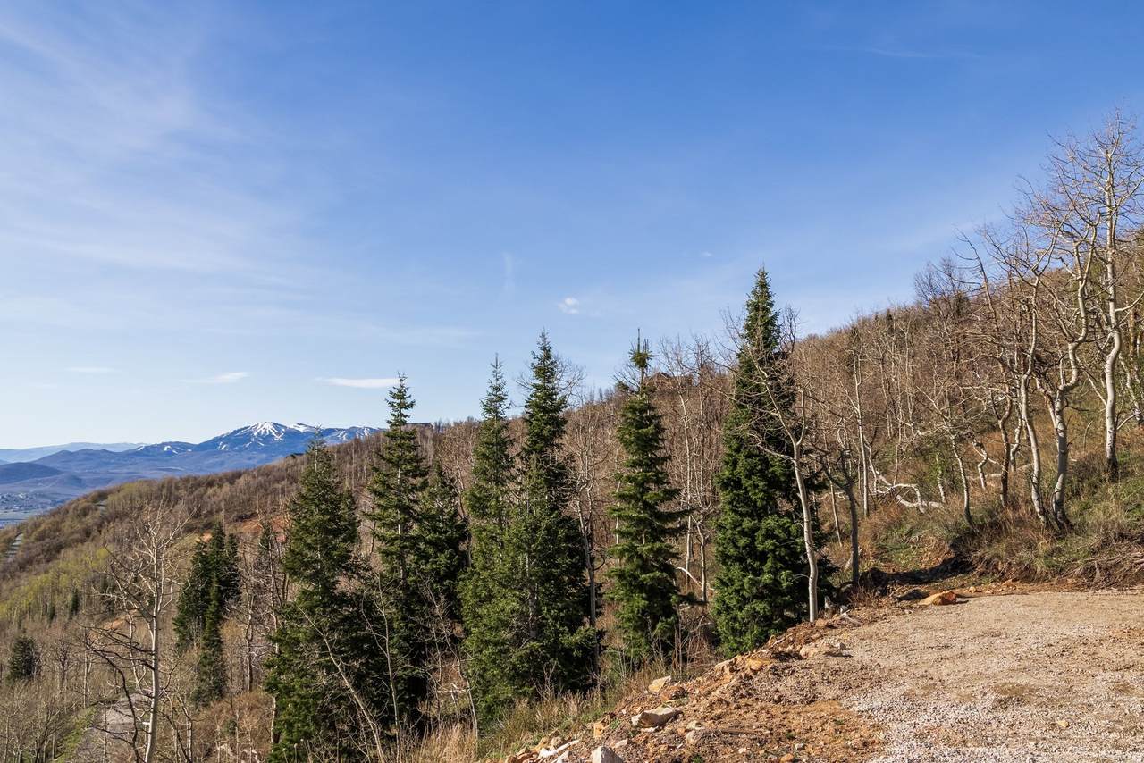 https://bt-photos.global.ssl.fastly.net/wasatch/1280_boomver_1_2151606-1.jpg