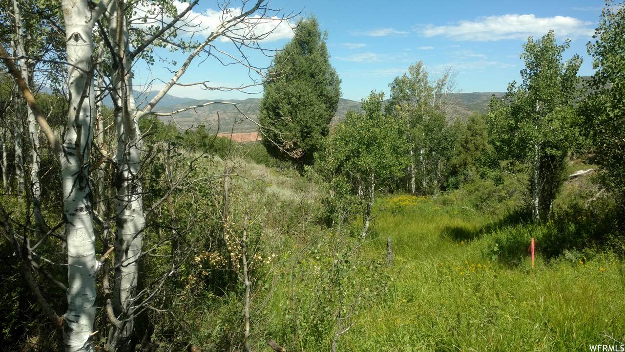 https://bt-photos.global.ssl.fastly.net/wasatch/1280_boomver_1_2151940-1.jpg