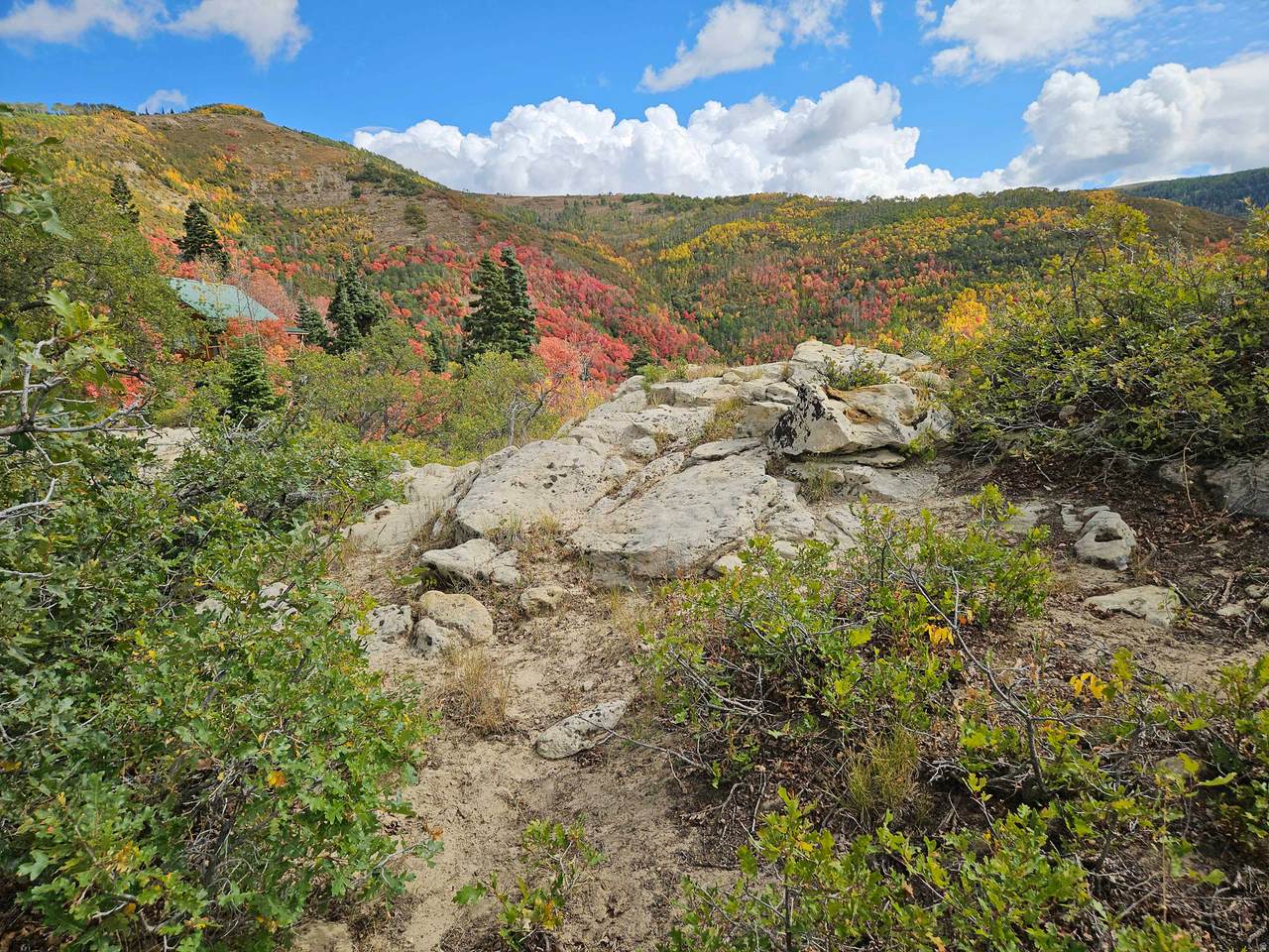 https://bt-photos.global.ssl.fastly.net/wasatch/1280_boomver_1_2152165-1.jpg