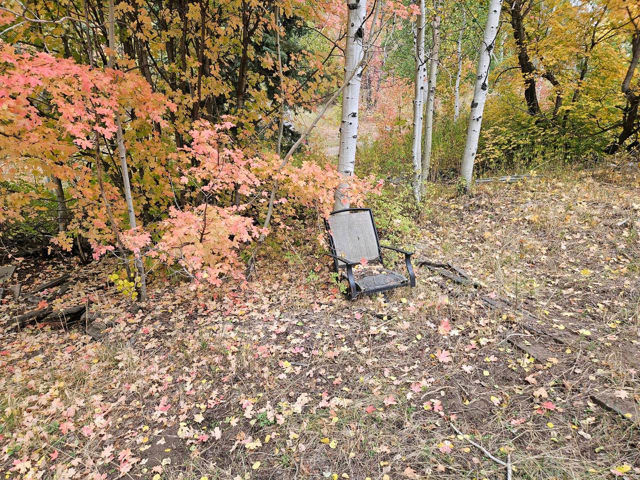 https://bt-photos.global.ssl.fastly.net/wasatch/1280_boomver_1_2152165-1.jpg