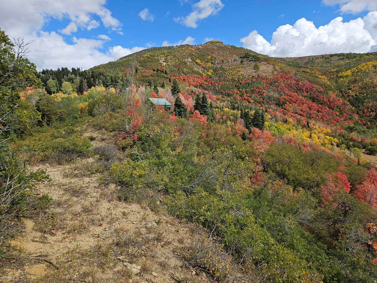 https://bt-photos.global.ssl.fastly.net/wasatch/1280_boomver_1_2152165-1.jpg