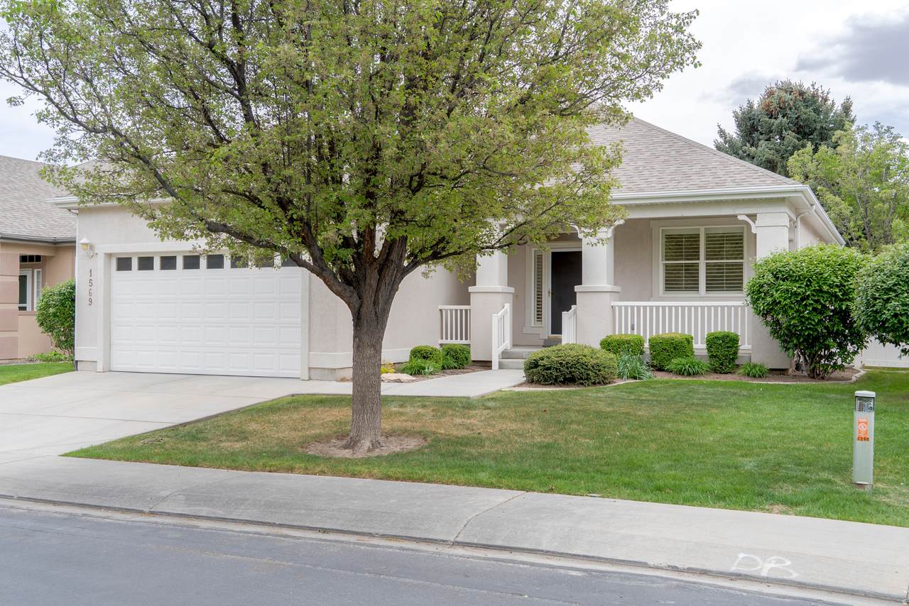 1569 Easy St - Photo 1