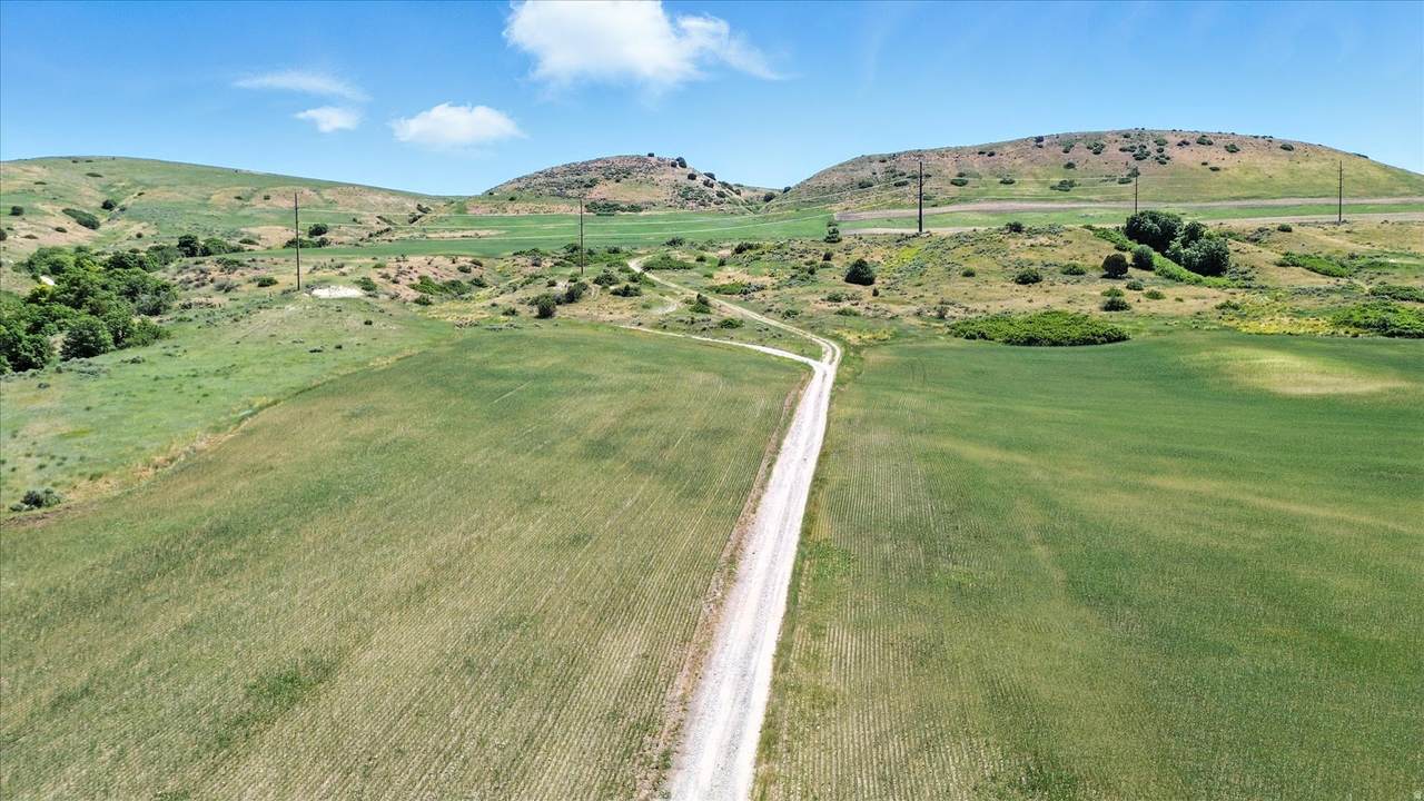 16408 Beaver Dam Rd - Photo 1