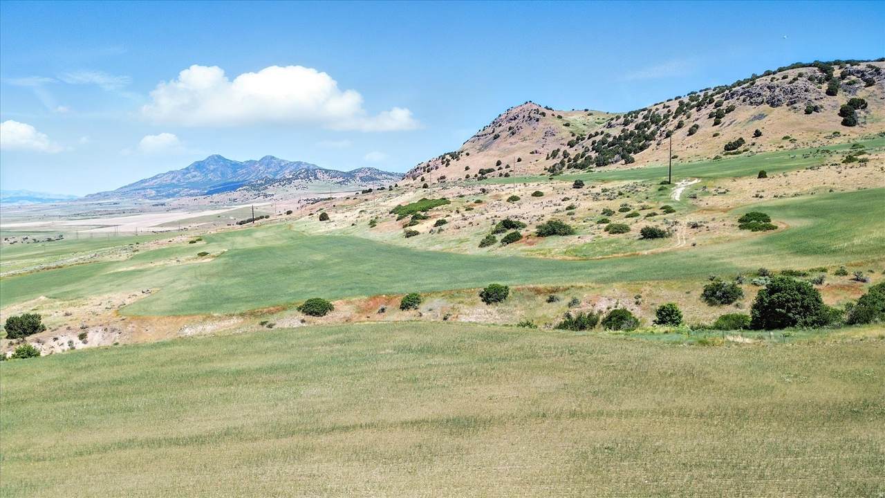 https://bt-photos.global.ssl.fastly.net/wasatch/1280_boomver_1_2152384-1.jpg