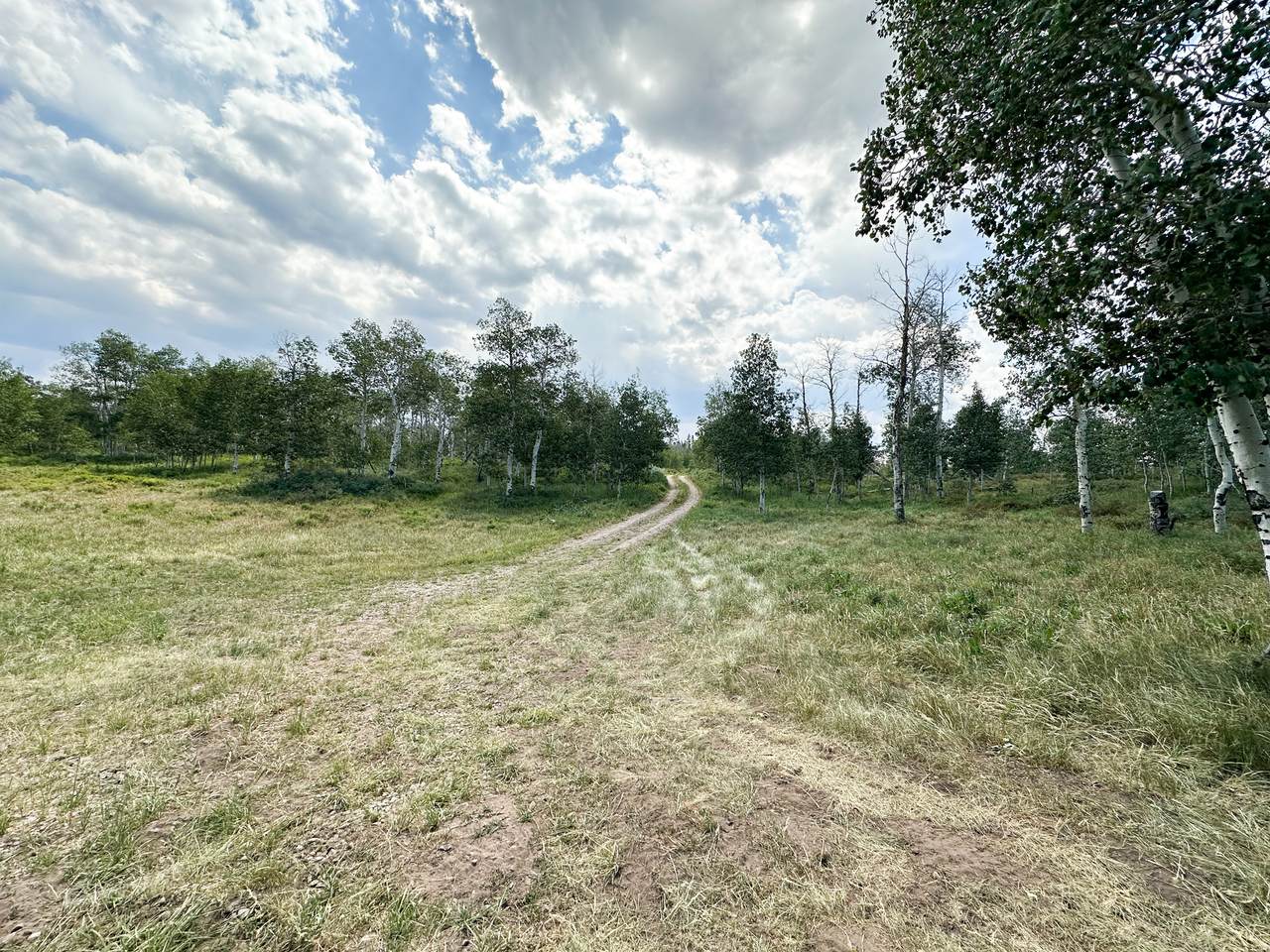 https://bt-photos.global.ssl.fastly.net/wasatch/1280_boomver_1_2152477-1.jpg