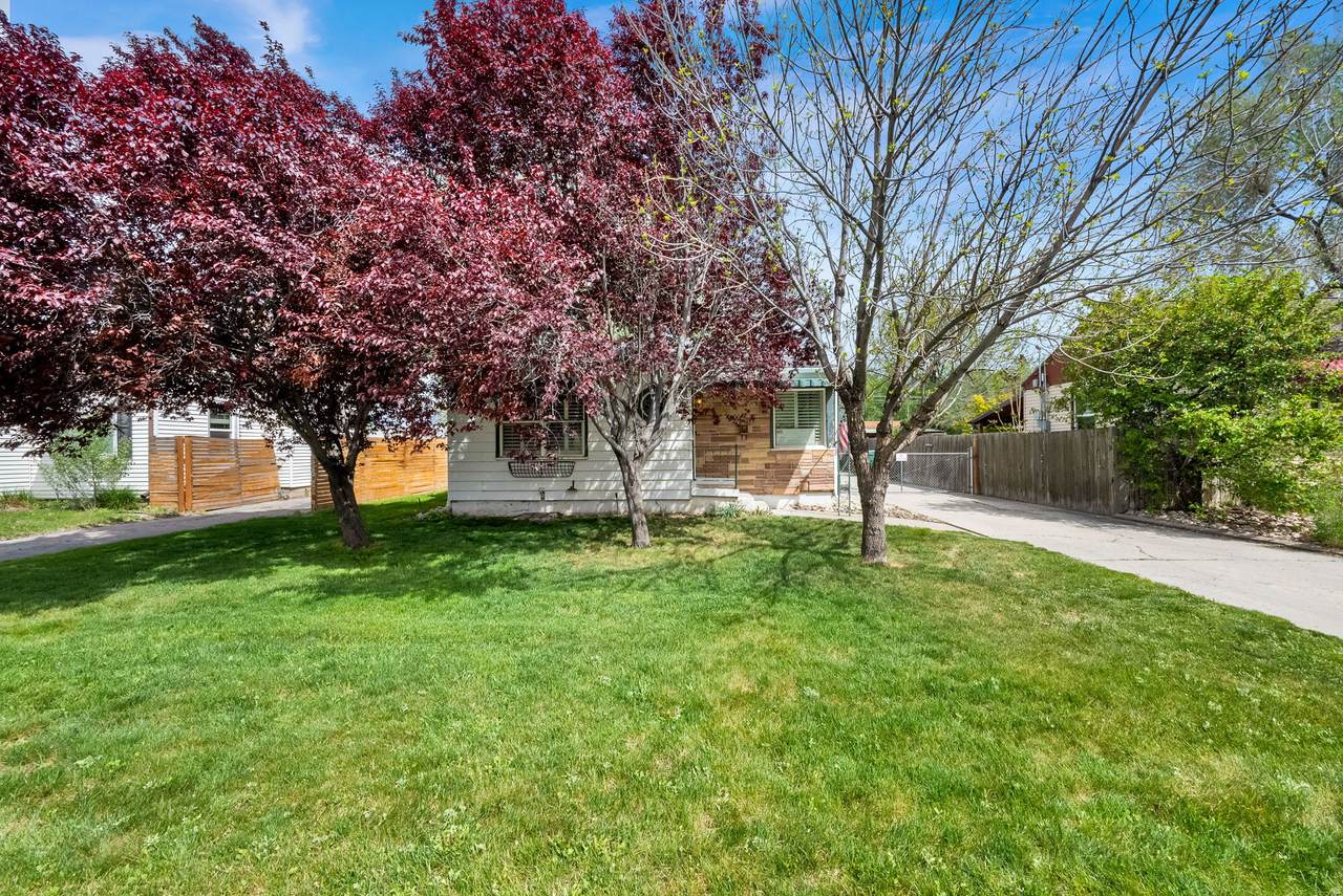 4635 Box Elder St - Photo 1