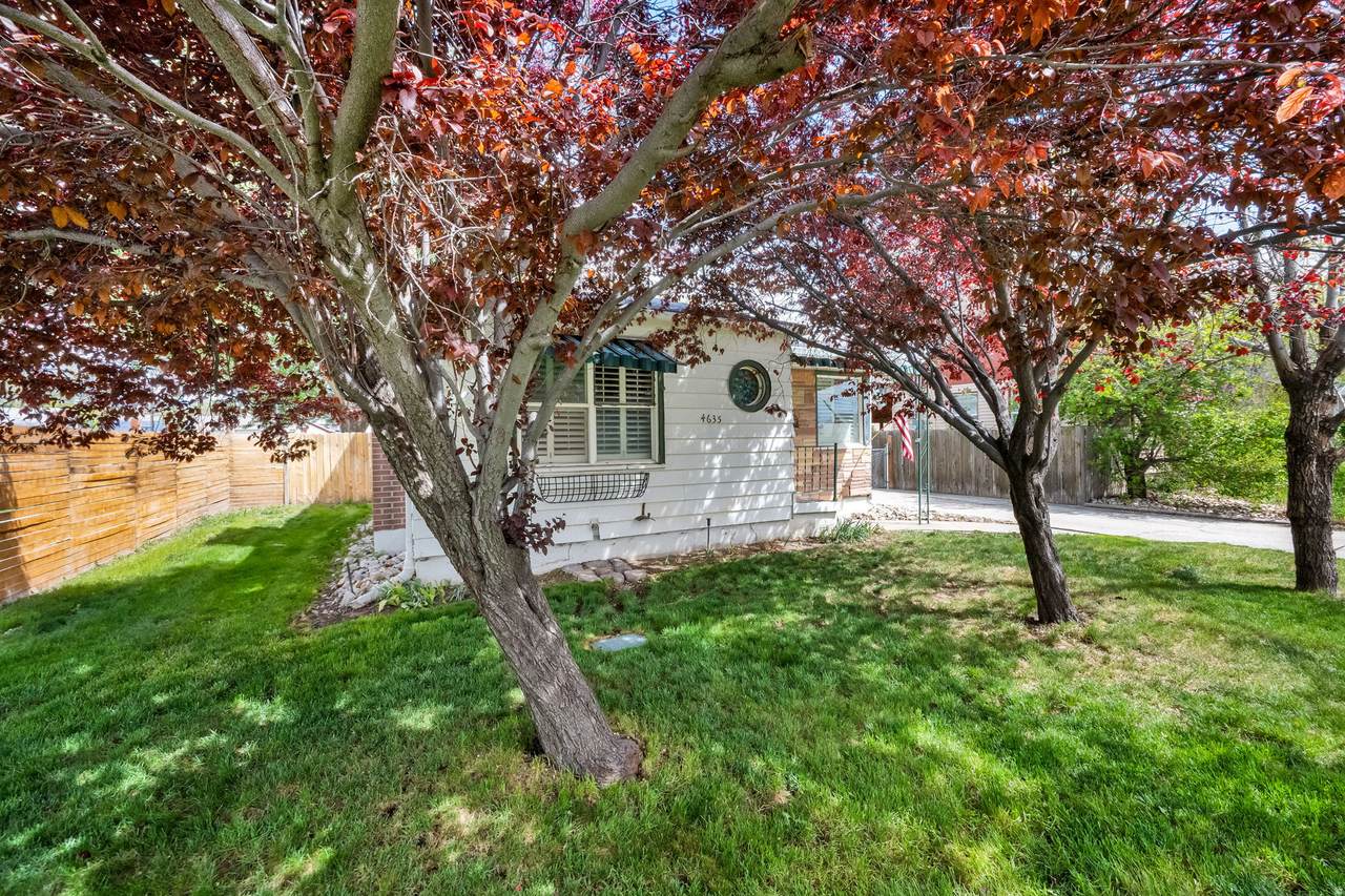 https://bt-photos.global.ssl.fastly.net/wasatch/1280_boomver_1_2152593-1.jpg
