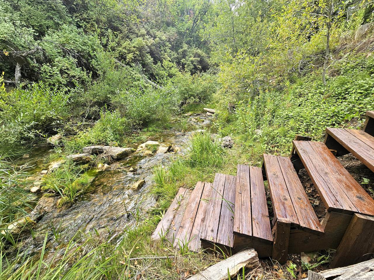 https://bt-photos.global.ssl.fastly.net/wasatch/1280_boomver_1_2153465-1.jpg