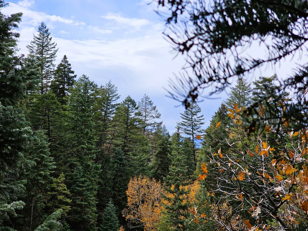 https://bt-photos.global.ssl.fastly.net/wasatch/1280_boomver_1_2153695-1.jpg