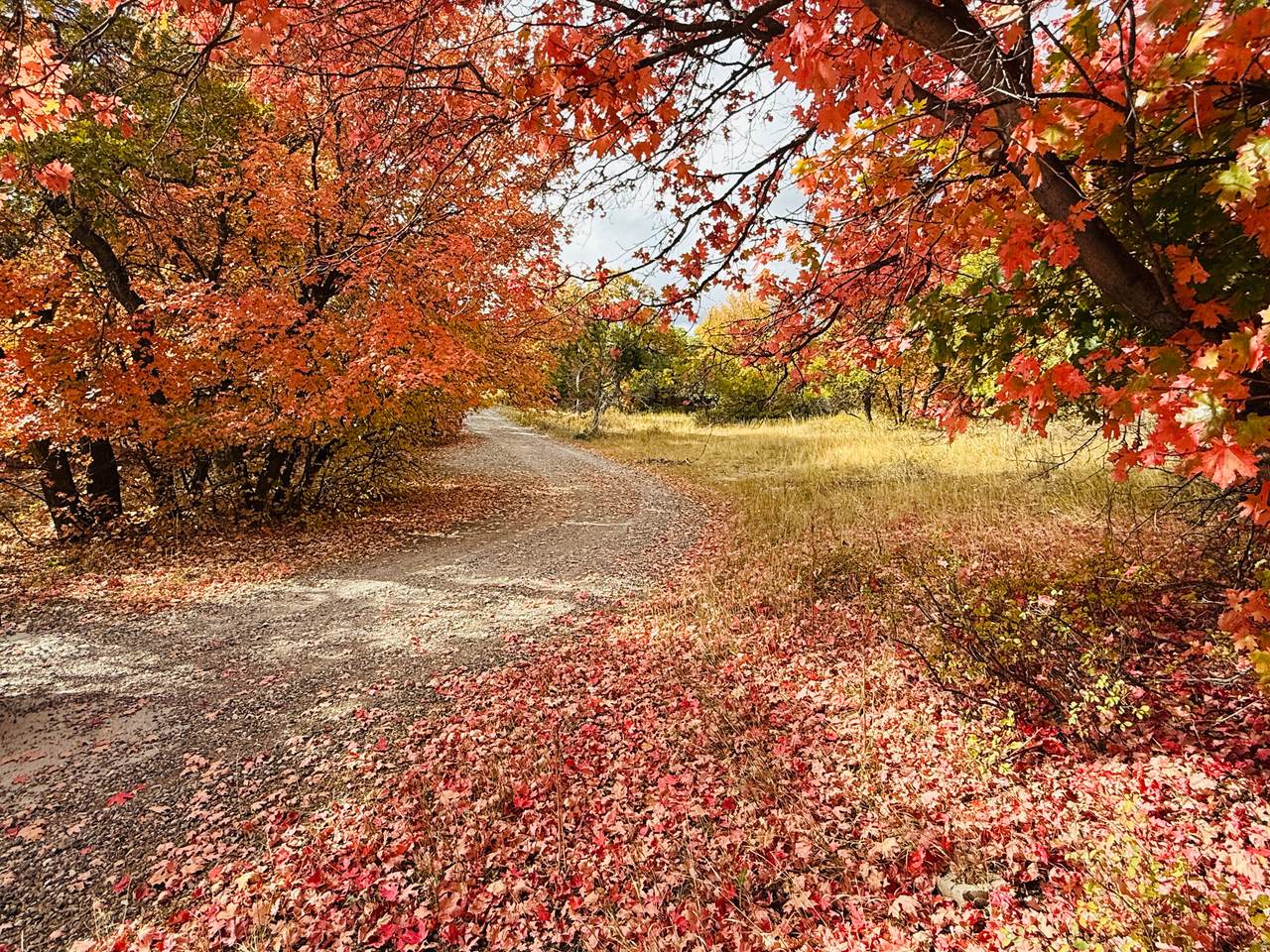 https://bt-photos.global.ssl.fastly.net/wasatch/1280_boomver_1_2153696-1.jpg