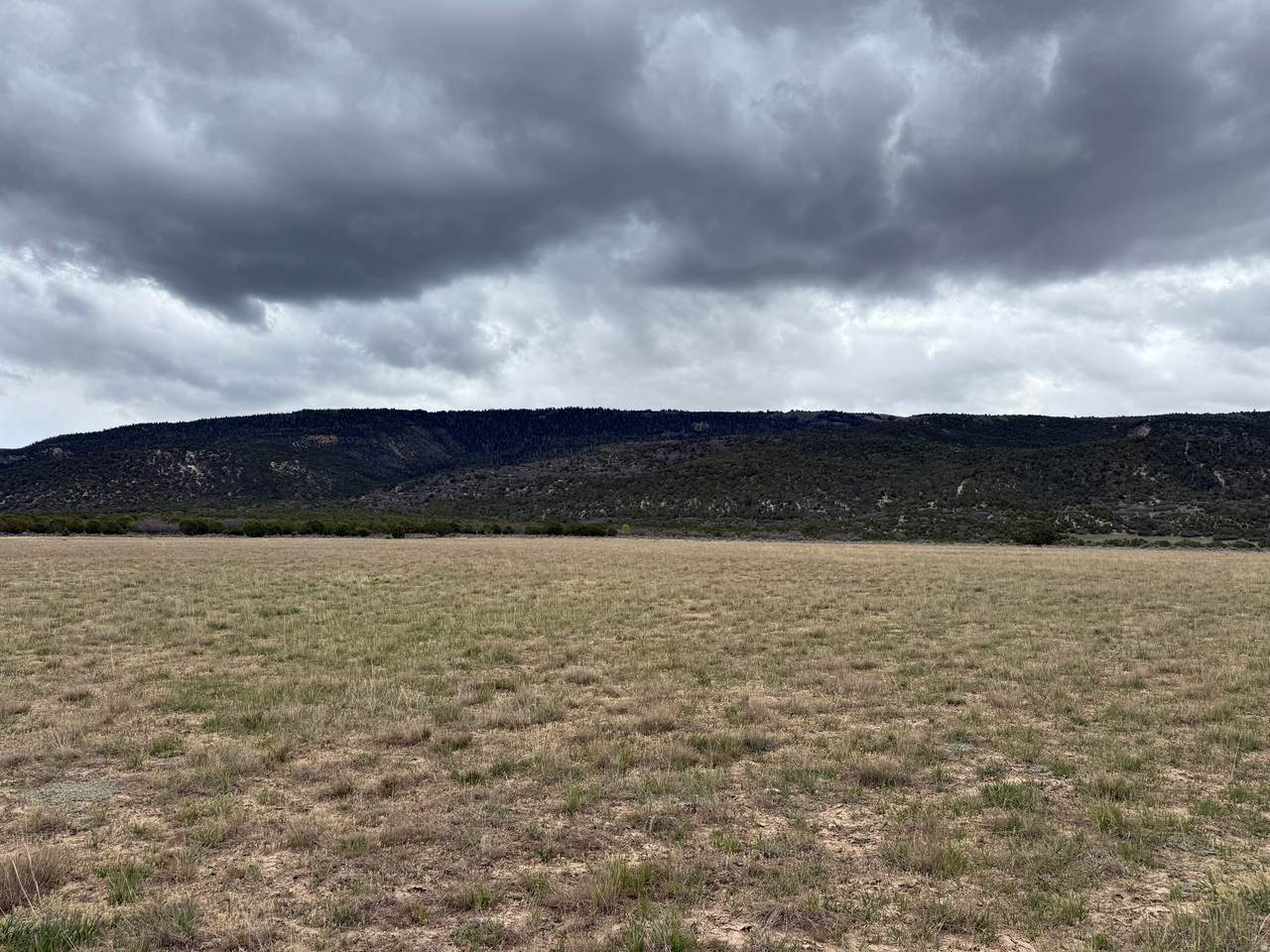 2 East Hollow Rd - Photo 1