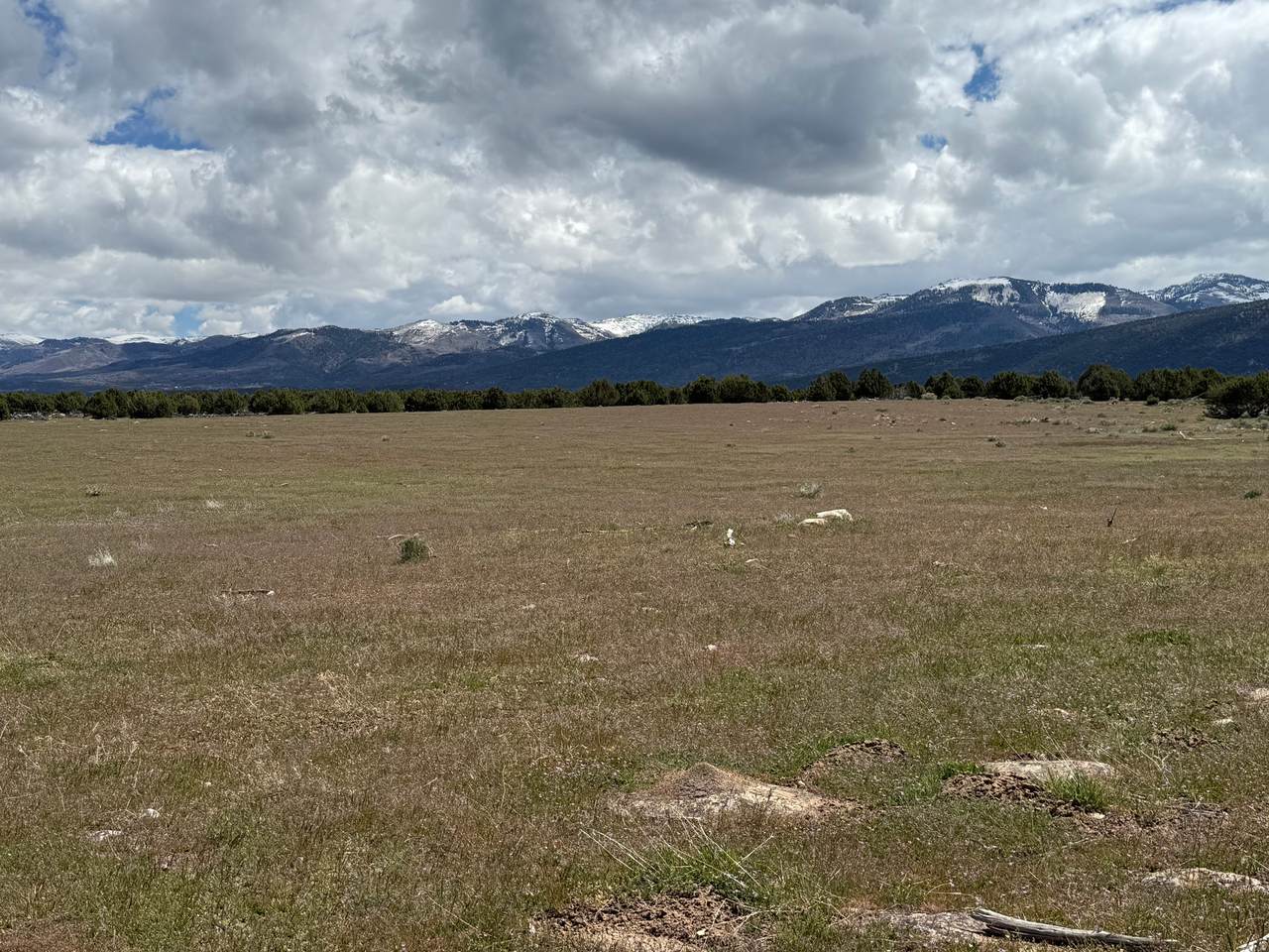 17 Old Highway 89 - Photo 1