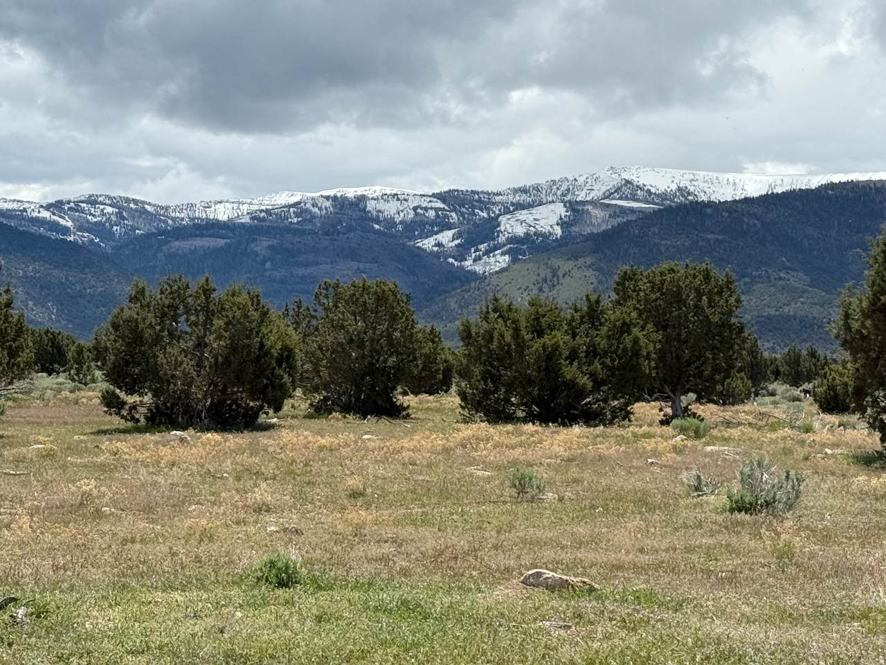 https://bt-photos.global.ssl.fastly.net/wasatch/1280_boomver_1_2154107-1.jpg