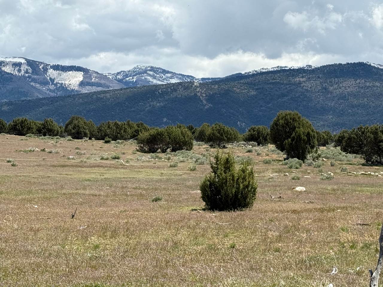 https://bt-photos.global.ssl.fastly.net/wasatch/1280_boomver_1_2154107-1.jpg
