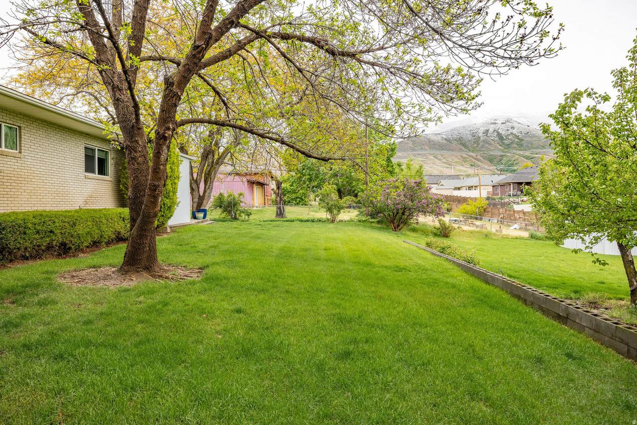 https://bt-photos.global.ssl.fastly.net/wasatch/1280_boomver_1_2154230-1.jpg