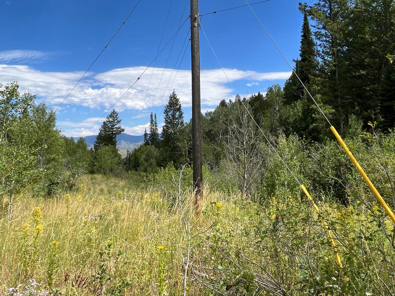 https://bt-photos.global.ssl.fastly.net/wasatch/1280_boomver_1_2154623-1.jpg