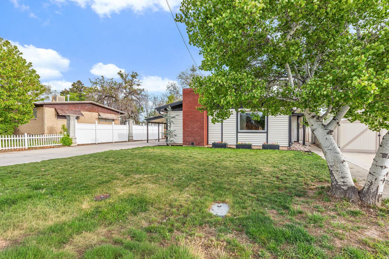 https://bt-photos.global.ssl.fastly.net/wasatch/1280_boomver_1_2154692-1.jpg