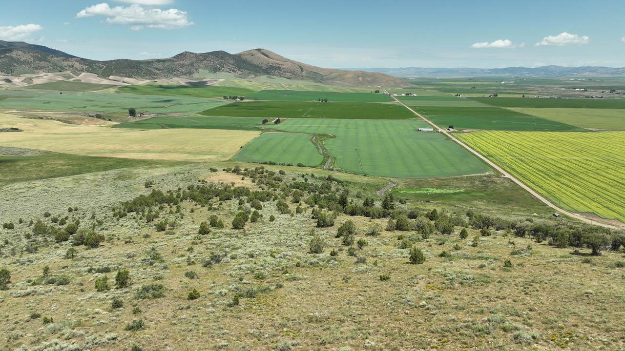 https://bt-photos.global.ssl.fastly.net/wasatch/1280_boomver_2_2154705-1.jpg