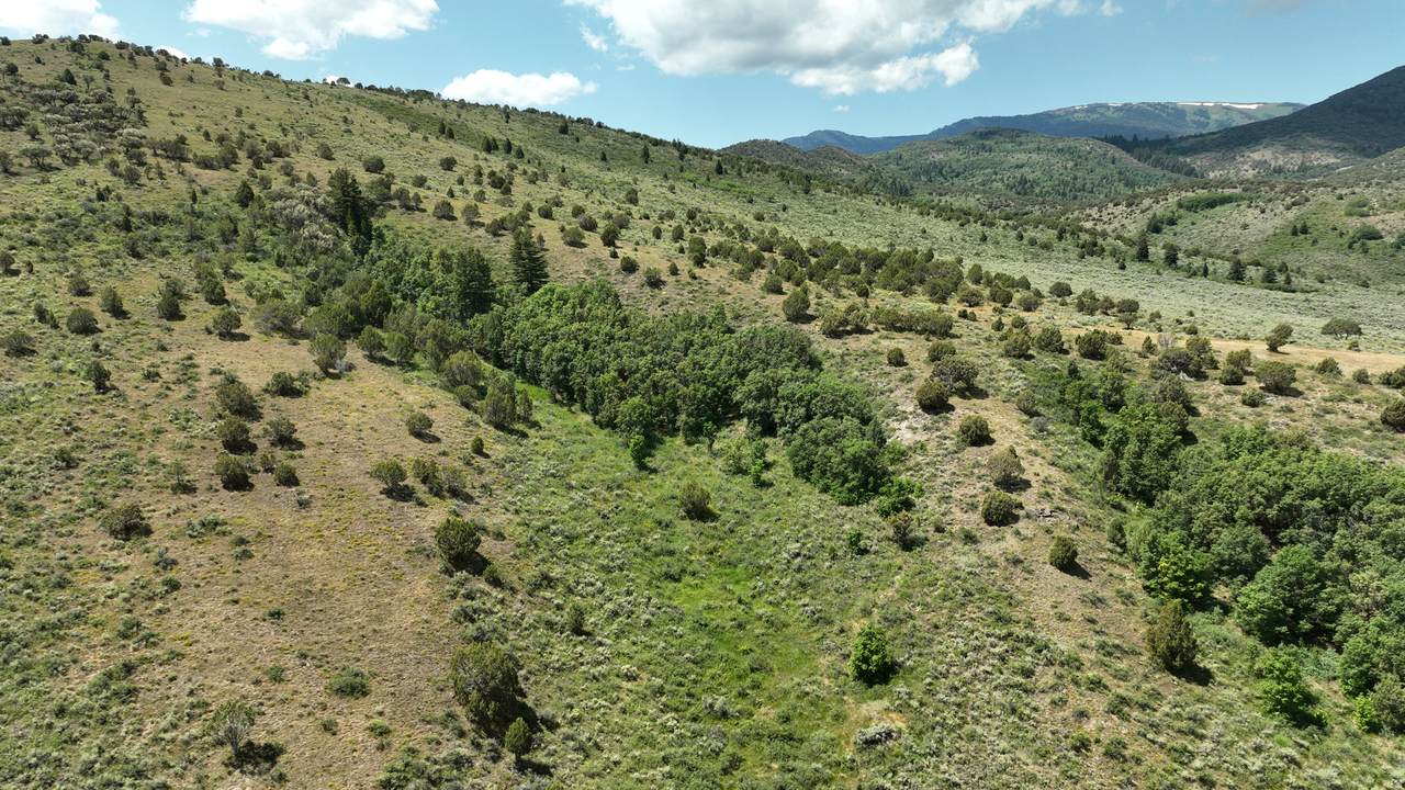 https://bt-photos.global.ssl.fastly.net/wasatch/1280_boomver_2_2154705-1.jpg