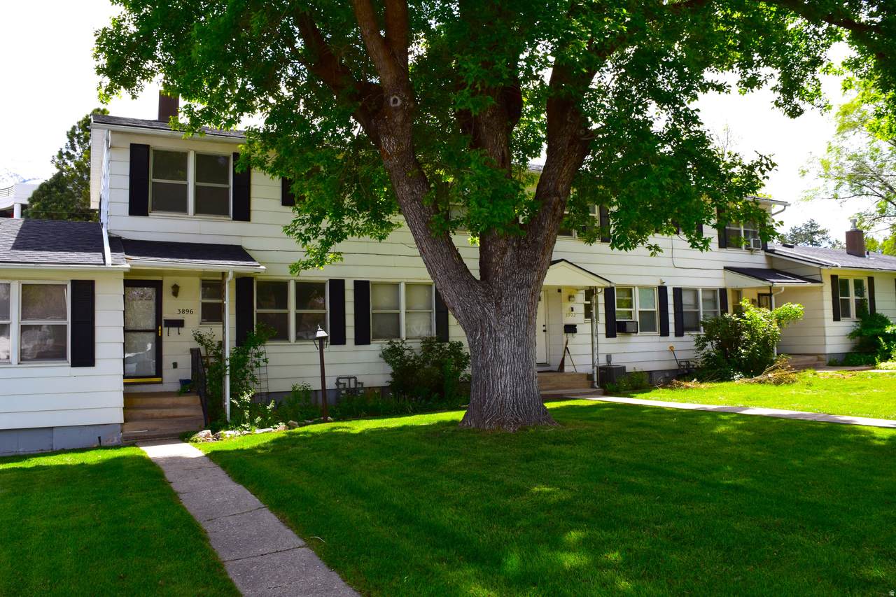 3896 Jackson Ave - Photo 1