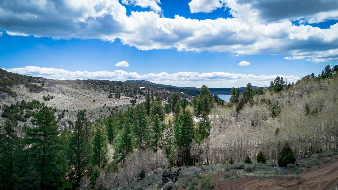 696 Ipson Creek Cir - Photo 1