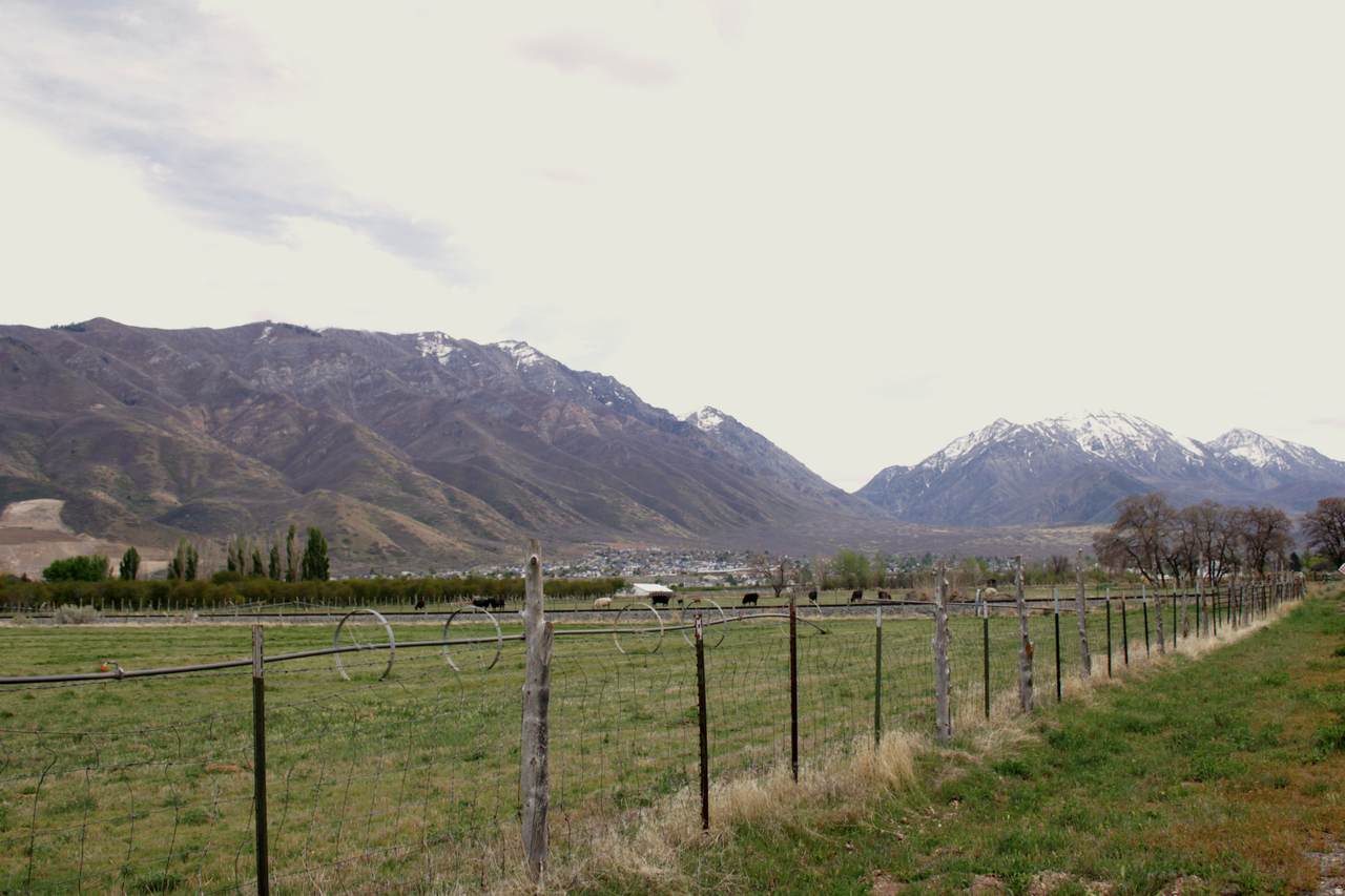 https://bt-photos.global.ssl.fastly.net/wasatch/1280_boomver_1_2155186-1.jpg