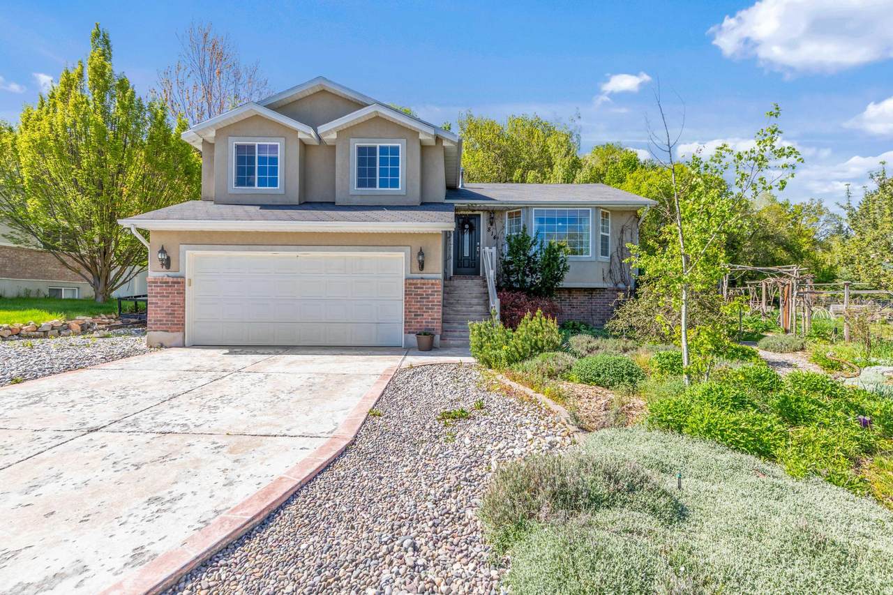 814 Mountain Rd - Photo 1