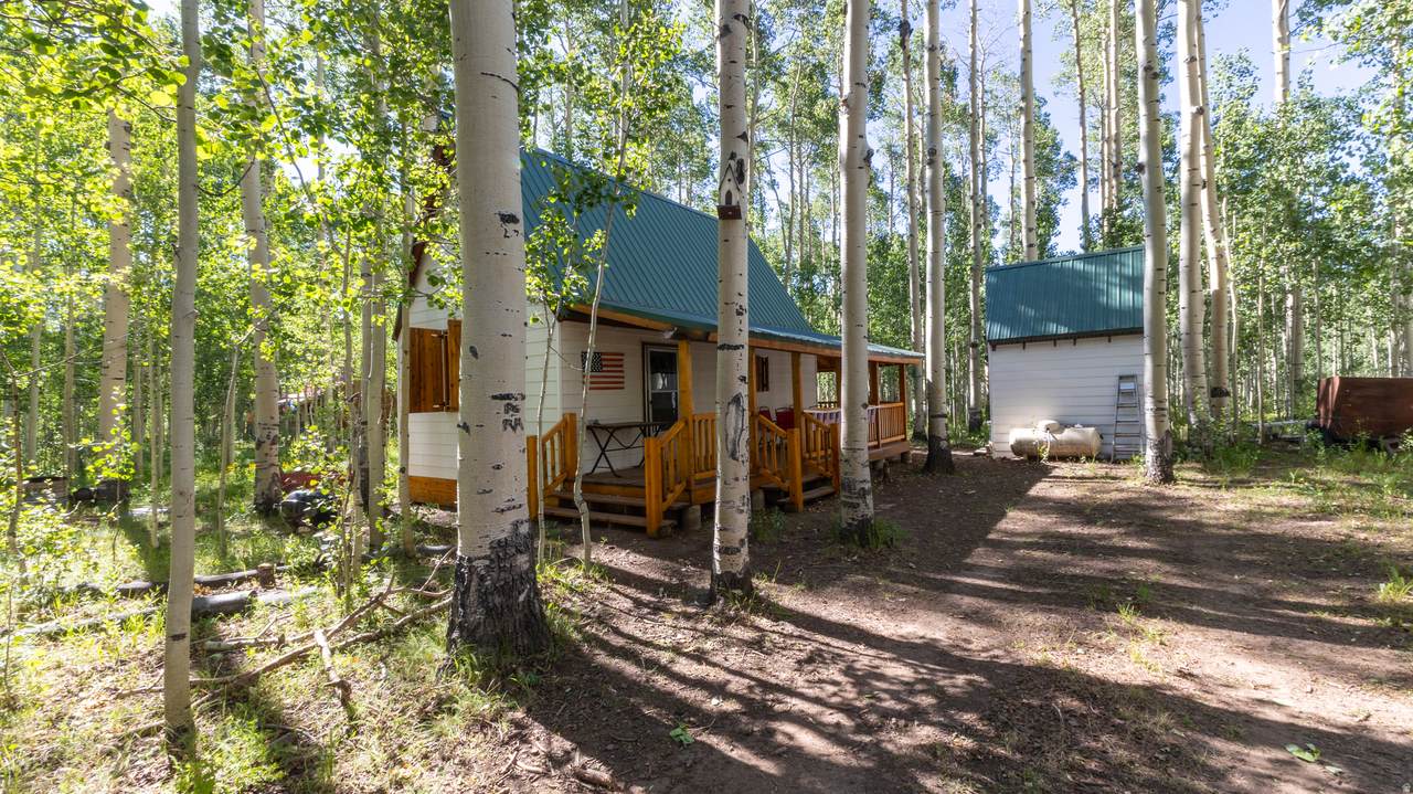 https://bt-photos.global.ssl.fastly.net/wasatch/1280_boomver_1_2155591-1.jpg